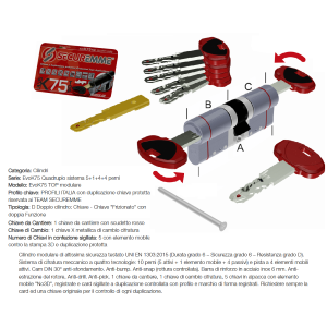 CILINDRO EVOK75 TOP FRIZ  CH-CH 31-81 MM      1+1+5 CHIAVI SECUREM 372EDCS3181115