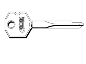 Cruciformi