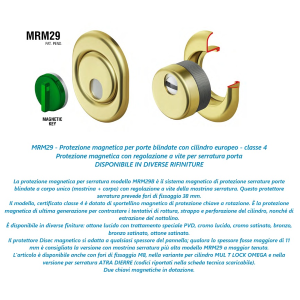 DEFENDER ANTISTRAPPO MAGNETICO OTTONE DISEC         MRM29B-20D1 AT INTERASSE 38
